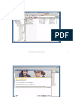 Sap Gui PDF