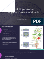 Plant Organization(3)