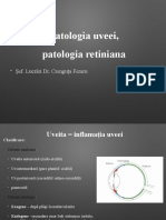 Curs 7  uveea + retina + n.o. (1).pptx