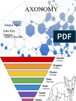 TAXONOMY HIERARCHYThe title "TAXONOMY HIERARCHY