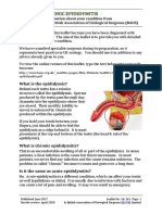 Chronic Epididymitis PDF