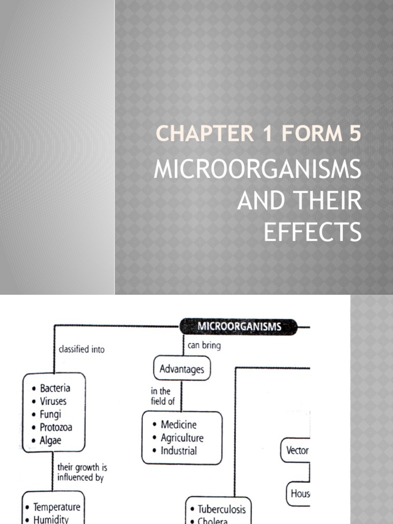 Microorganisms: Types and Reproduction | PDF