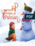 Cadou Craciun Danion PDF