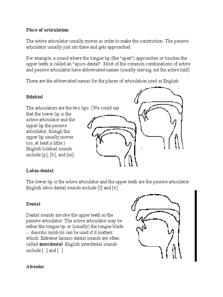 Places of Articulation Class Notes | PDF | Human Voice | Phonetics