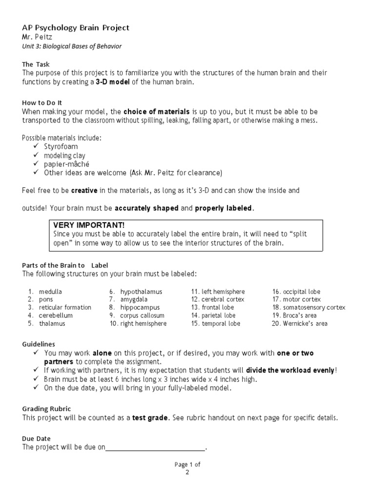 AP Psychology Brain Project: Unit 3: Biological Bases of Behavior | PDF