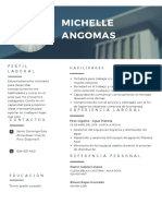 Modern Professional Resume PDF