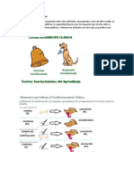 Condicionamiento Clásico 11