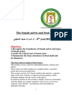 The Female Pelvis and Fetal Skull PDF