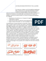 Fisiopatologia de Los Organos Hematopoyeticos y de La Sangre