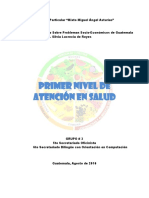 Primer Nivel de Atencion de Salud Guatemala PDF