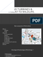Wind Turbines and Threat To Wildlife.
