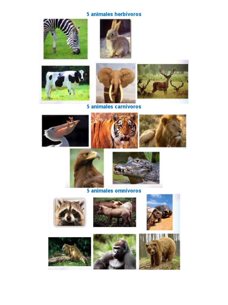 5 Animales Herbívoros | PDF