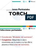 TORCH: Infecciones Perinatales