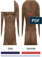 Cardias Suprarrenales PDF