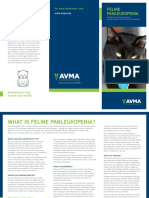 LR COM ClientBroch FelinePanleukopenia PDF