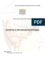 Neuroapostila- UFCSPA (1).pdf