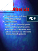 Paskaita 3 PDF