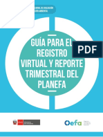 Guía-para-el-registro-virtual-y-reporte-trimestral-del-Planefa (1).pdf