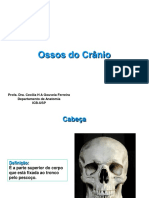 OSSOS+DO+CRANIO.pdf