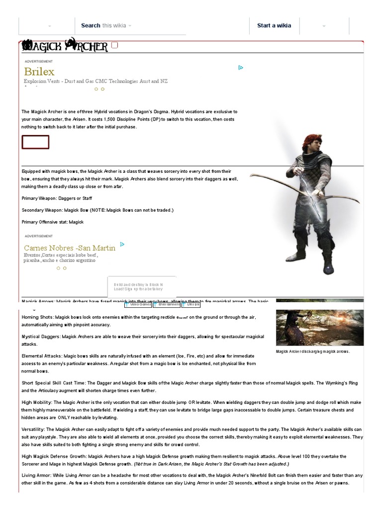 Magick Archer - Dragon's Dogma Wiki, PDF, Archery