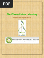 Download PTCL redy Anthurium by Manjunatha Palaniappan SN47351067 doc pdf