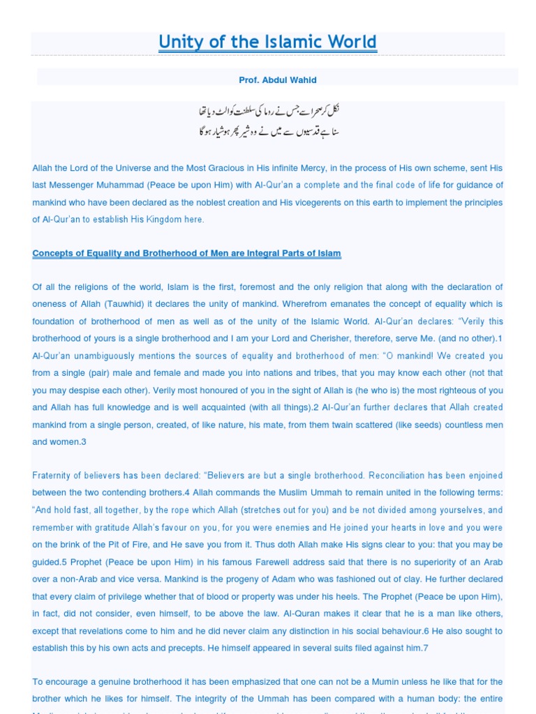 Unity of the Islamic Ummah Explained | PDF | Ummah | Pan Islamism