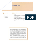 Bioenergetica PDF