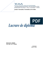 Chiriac Corina Lucrare de Diploma