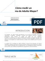 Como Medir Un Programa de Adulto Mayor-Trabajo Grupal PDF