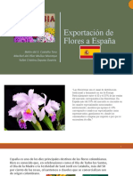 Exportación de Flores A España