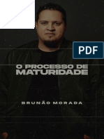 Ebook - O Processo de Maturidade - Brunão Morada PDF