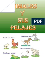 Animales y Sus Pelajes PINTAR