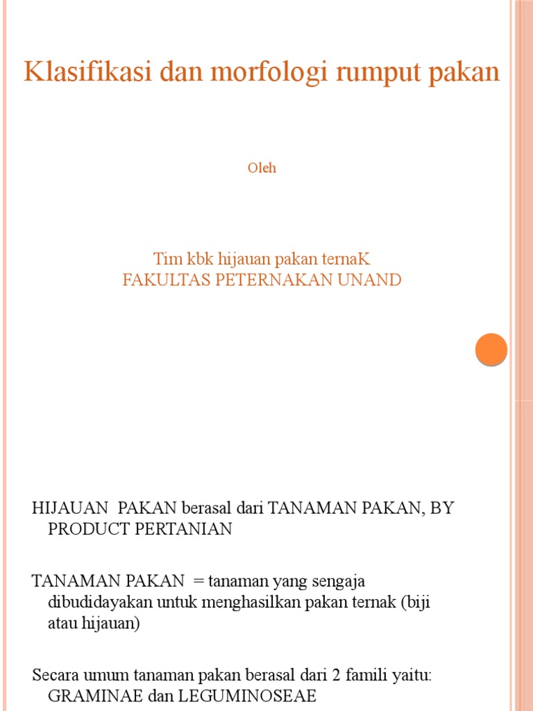 Morfologi Rumput | PDF