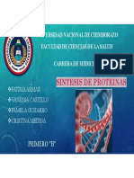 Diapositivas Fisiología - SINTESIS DE PROTEINAS