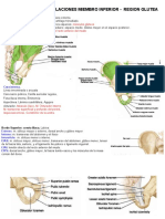 Clase 7-Osteologia-Artic.MI-2015