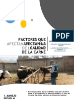 CLASE 10. Factores Que Afectan La Calidad de La Carne505