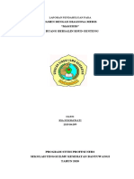 RIA LP MASTITIS.docx