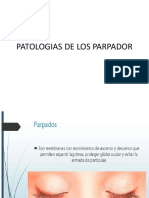 Patologias de Los Parpador