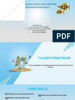 Ikan PPT Fix