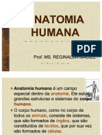 ANATOMIA_ANATOMIA_HUMANA_HUMANA.pdf
