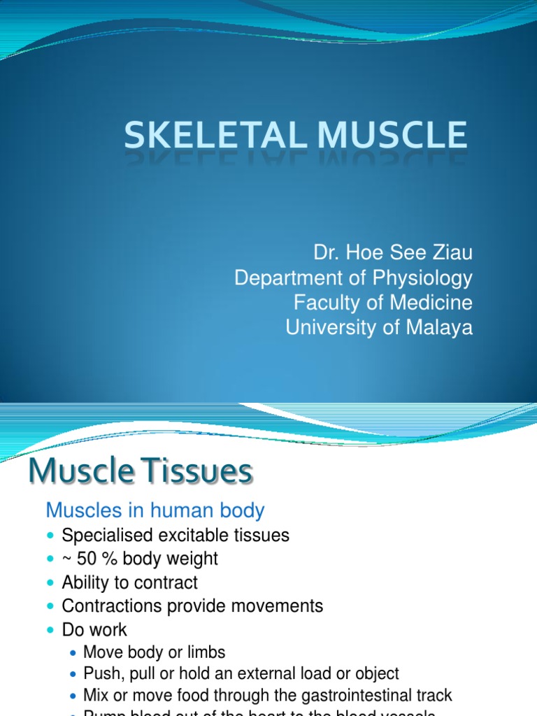 Skeletal Muscle | Download Free PDF | Muscle Contraction | Skeletal Muscle