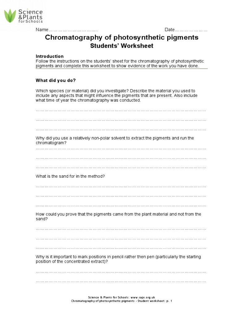Analysis of Photosynthetic Pigments A Student Worksheet for