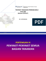 Hpkebun13 PDF
