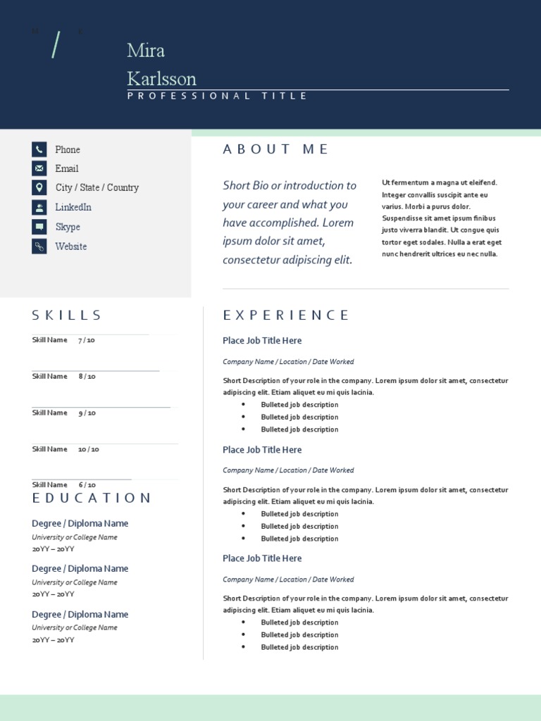 Professional Resume Template | PDF | Business
