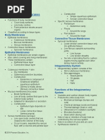 Integumentary System Notes