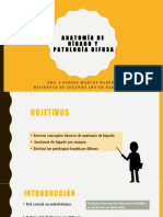 Anatomía de hígado y patología difusa.pptx