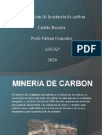 Biologia Mineria de Carbon