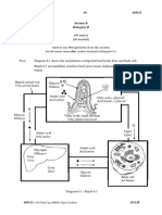 Paper 2 Section B