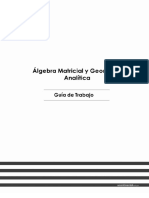 Guía de Trabajo - Algebra Matricial y Geometría Analítica 2020-20 PDF