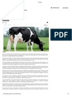 Holstein PDF